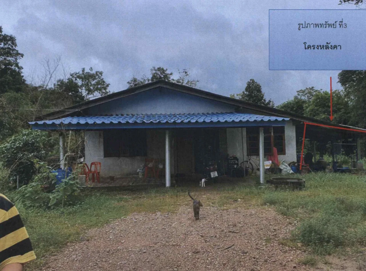 ขายทอดตลาด ที่ดินพร้อมสิ่งปลูกสร้าง ต.หนองชิ่ม อ.แหลมสิงห์ จ.จันทบุรี