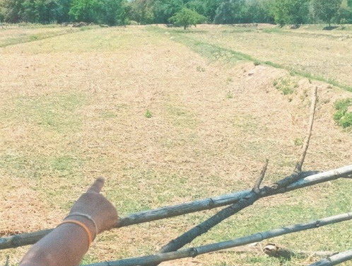 ขายทอดตลาด ที่ดินว่างเปล่า ต.ดงใหญ่ อ.วาปีปทุม จ.มหาสารคาม