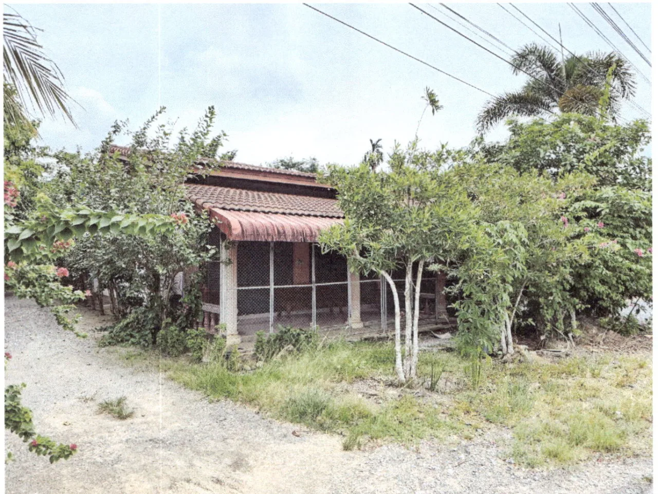 ขายทอดตลาด ที่ดินพร้อมสิ่งปลูกสร้าง ต.เกาะเต่า อ.ป่าพะยอม จ.พัทลุง