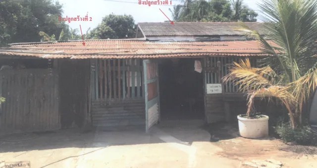 ขายทอดตลาด ที่ดินพร้อมสิ่งปลูกสร้าง ต.โรงช้าง อ.เมืองพิจิตร จ.พิจิตร
