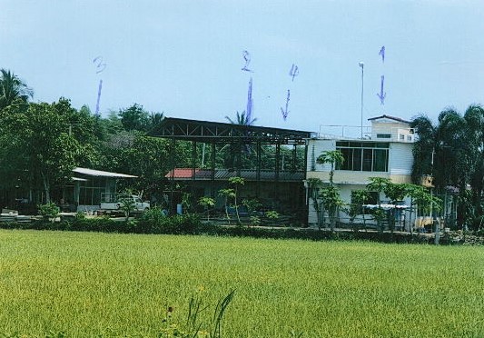 ขายทอดตลาด ที่ดินพร้อมสิ่งปลูกสร้าง ต.วังพิกุล อ.วังทอง จ.พิษณุโลก