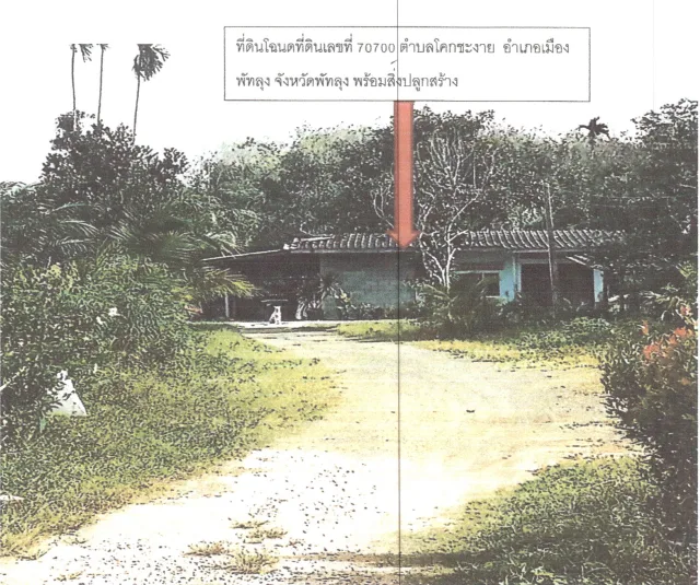 ขายทอดตลาด ที่ดินพร้อมสิ่งปลูกสร้าง ต.โคกชะงาย อ.เมืองพัทลุง จ.พัทลุง