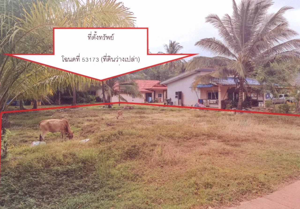 ขายทอดตลาด ที่ดินว่างเปล่า ต.พนมวังก์ อ.ควนขนุน จ.พัทลุง