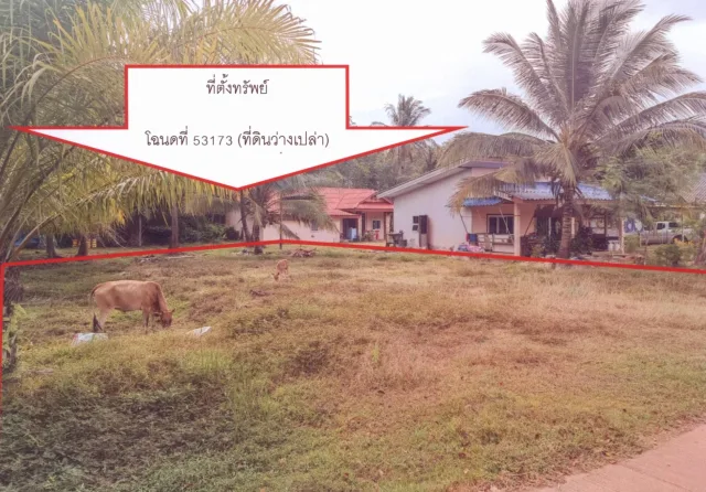 ขายทอดตลาด ที่ดินว่างเปล่า ต.พนมวังก์ อ.ควนขนุน จ.พัทลุง
