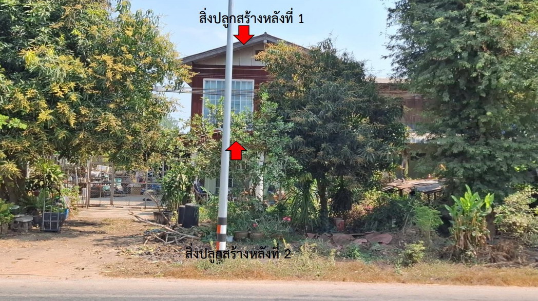 ขายทอดตลาด ที่ดินพร้อมสิ่งปลูกสร้าง ต.บางระกำ อ.บางระกำ จ.พิษณุโลก