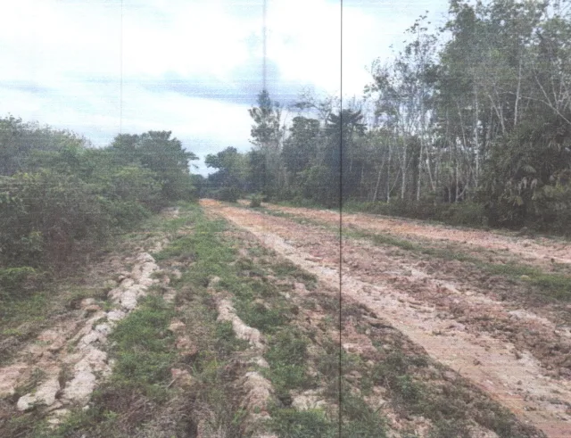 ขายทอดตลาด ที่ดินว่างเปล่า ต.ชุมพล อ.ศรีนครินทร์ จ.พัทลุง