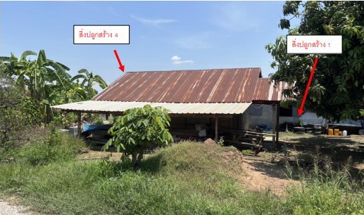 ขายทอดตลาด ที่ดินพร้อมสิ่งปลูกสร้าง ต.ดงประคำ อ.พรหมพิราม จ.พิษณุโลก
