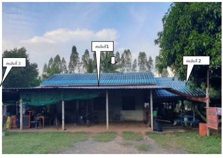 ขายทอดตลาด ที่ดินพร้อมสิ่งปลูกสร้าง ต.หนองพระ อ.วังทรายพูน จ.พิจิตร