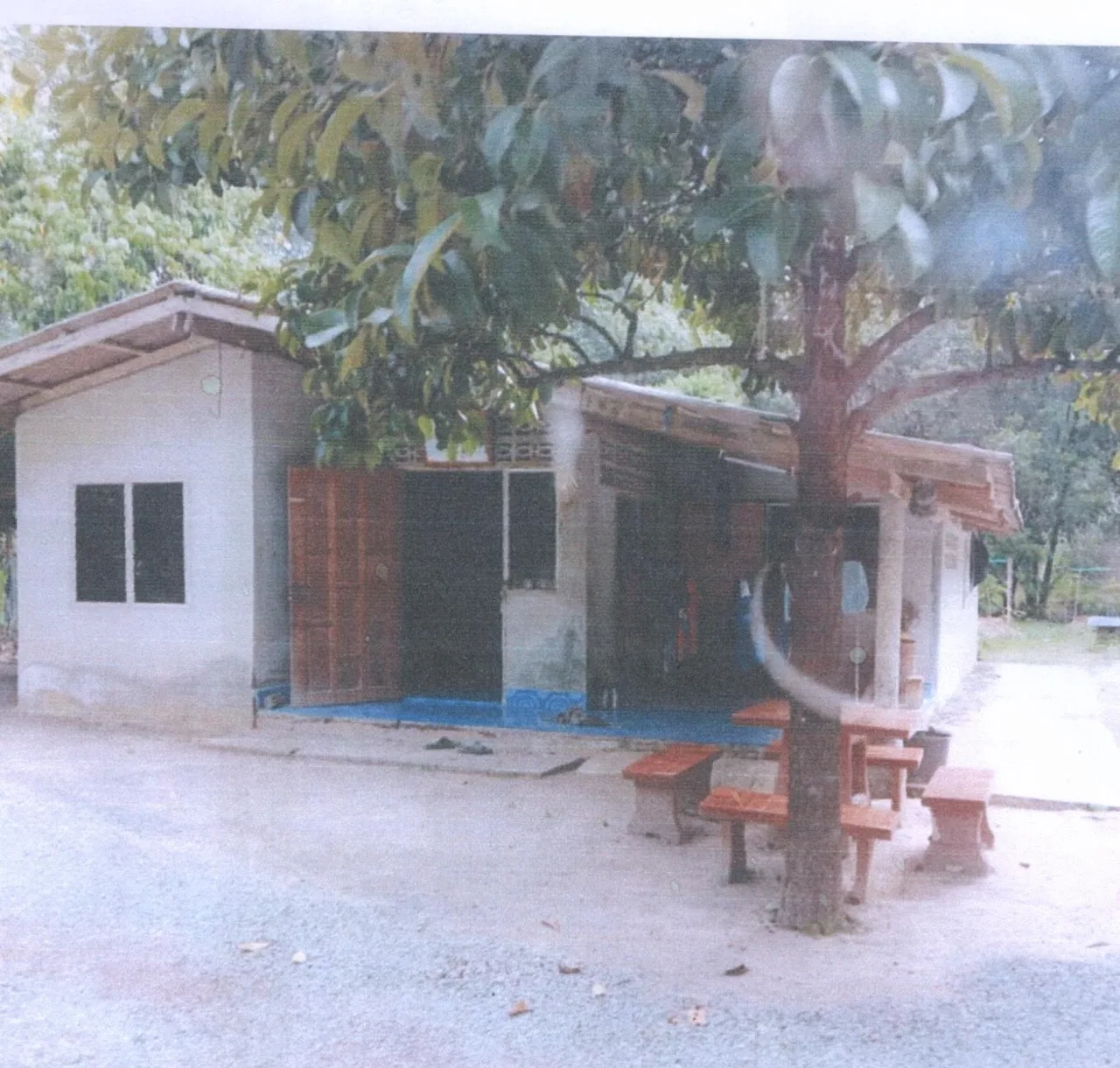 ขายทอดตลาด ที่ดินพร้อมสิ่งปลูกสร้าง ต.ลำสินธุ์ อ.ศรีนครินทร์ จ.พัทลุง