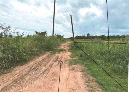 ขายทอดตลาด ที่ดินว่างเปล่า ต.บางระกำ อ.บางระกำ จ.พิษณุโลก