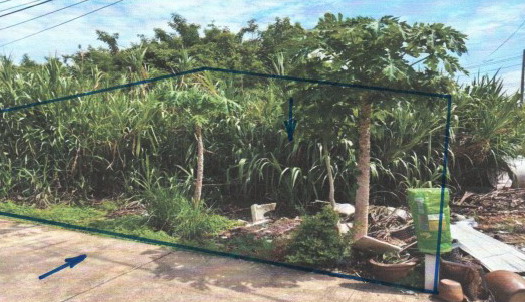 ขายทอดตลาด ที่ดินว่างเปล่า ต.ตะพานหิน อ.ตะพานหิน จ.พิจิตร