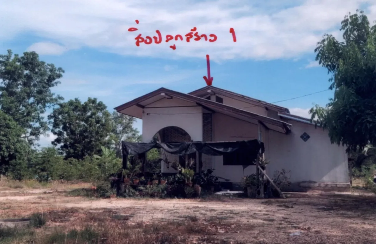 ขายทอดตลาด ที่ดินพร้อมสิ่งปลูกสร้าง ต.นิคมพัฒนา อ.บางระกำ จ.พิษณุโลก