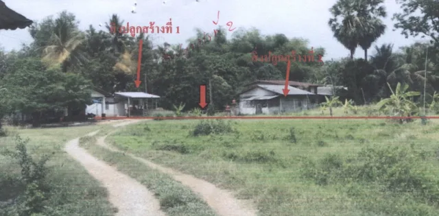 ขายทอดตลาด ที่ดินพร้อมสิ่งปลูกสร้าง ต.ท่าขมิ้น อ.โพทะเล จ.พิจิตร