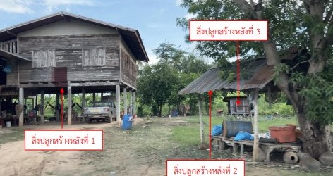 ขายทอดตลาด ที่ดินพร้อมสิ่งปลูกสร้าง ต.บึงกอก อ.บางระกำ จ.พิษณุโลก