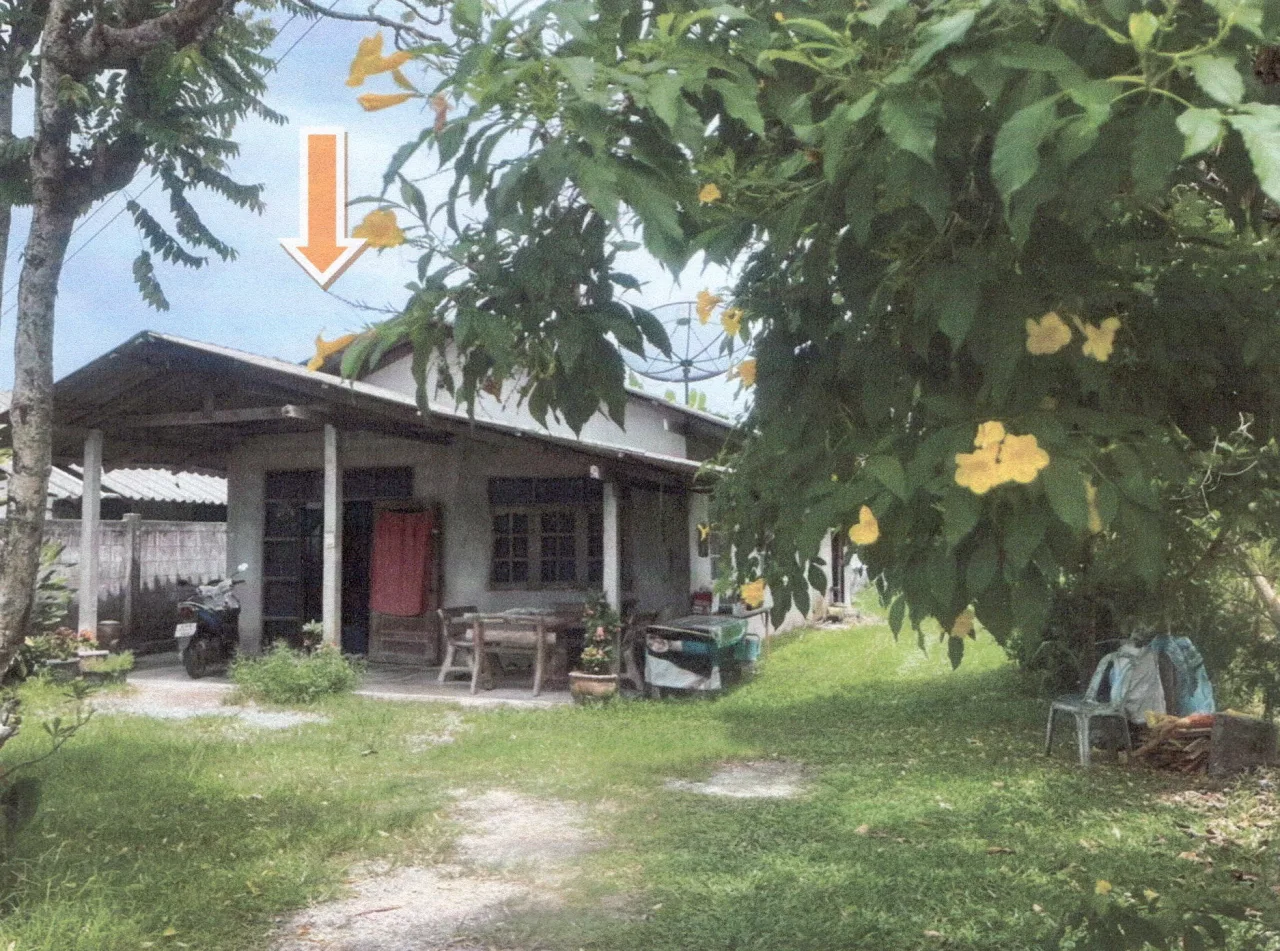 ขายทอดตลาด ที่ดินพร้อมสิ่งปลูกสร้าง ต.ลำปำ อ.เมืองพัทลุง จ.พัทลุง