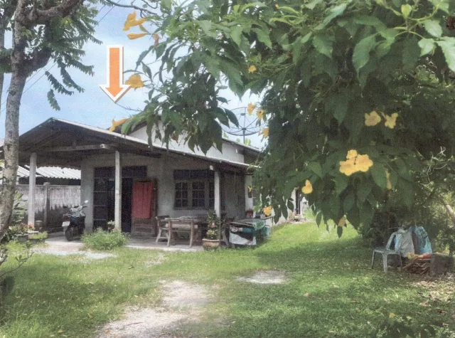 ขายทอดตลาด ที่ดินพร้อมสิ่งปลูกสร้าง ต.ลำปำ อ.เมืองพัทลุง จ.พัทลุง