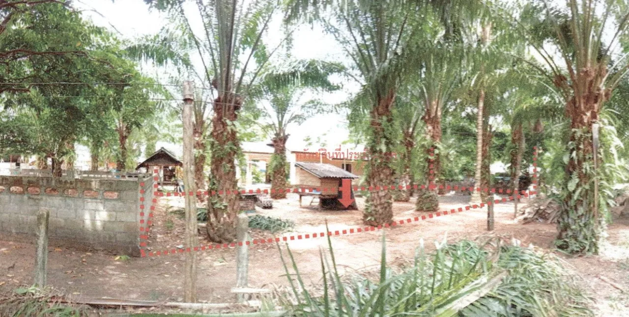 ขายทอดตลาด ที่ดินว่างเปล่า ต.ตลิ่งชัน อ.เหนือคลอง จ.กระบี่