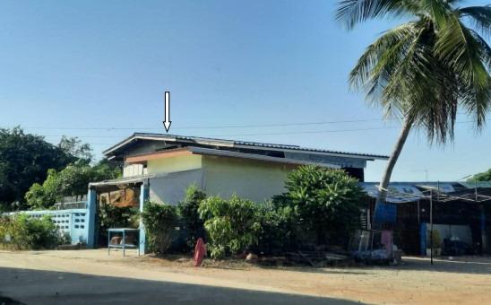 ขายทอดตลาด ที่ดินพร้อมสิ่งปลูกสร้าง ต.ท่าเสา อ.โพทะเล จ.พิจิตร