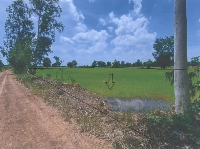 ขายทอดตลาด ที่ดินว่างเปล่า ต.วังสำโรง อ.บางมูลนาก จ.พิจิตร