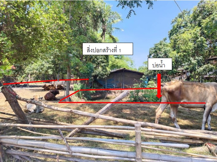 ขายทอดตลาด ที่ดินพร้อมสิ่งปลูกสร้าง ต.วังวน อ.พรหมพิราม จ.พิษณุโลก