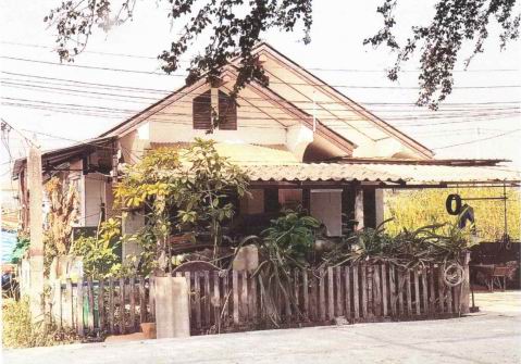 ขายทอดตลาด ที่ดินพร้อมสิ่งปลูกสร้าง ต.สะเดียง อ.เมืองเพชรบูรณ์ จ.เพชรบูรณ์
