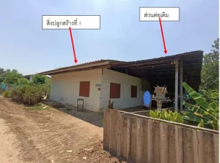รูปทรัพย์ 2