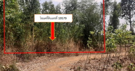 ขายทอดตลาด ที่ดินว่างเปล่า ต.โนนแหลมทอง อ.สหัสขันธ์ จ.กาฬสินธุ์