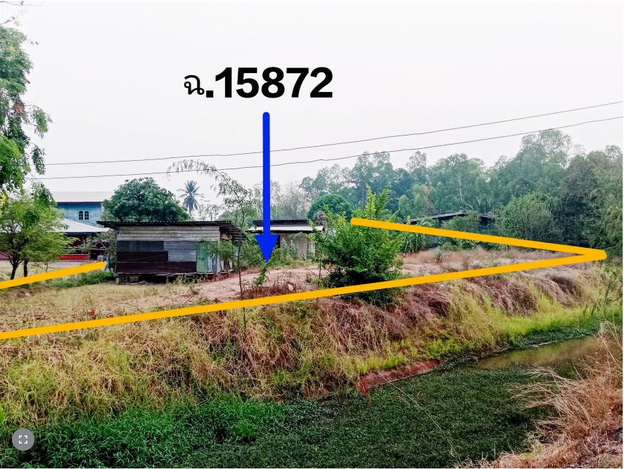 ขายทอดตลาด ที่ดินพร้อมสิ่งปลูกสร้าง ต.ดงประคำ อ.พรหมพิราม จ.พิษณุโลก