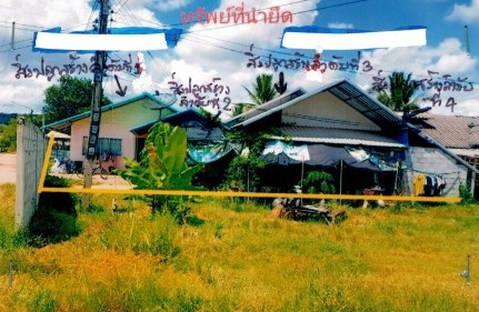 ขายทอดตลาด ที่ดินพร้อมสิ่งปลูกสร้าง ต.บ้านกลาง อ.วังทอง จ.พิษณุโลก