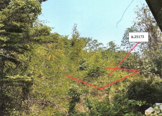 ขายทอดตลาด ที่ดินว่างเปล่า ต.กำแพงดิน อ.สามง่าม จ.พิจิตร