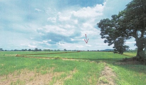 ขายทอดตลาด ที่ดินว่างเปล่า ต.เขาเจ็ดลูก อ.ทับคล้อ จ.พิจิตร