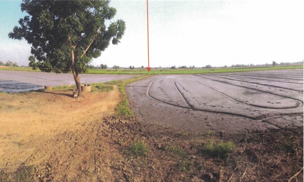 ขายทอดตลาด ที่ดินว่างเปล่า ต.ท่านางงาม อ.บางระกำ จ.พิษณุโลก