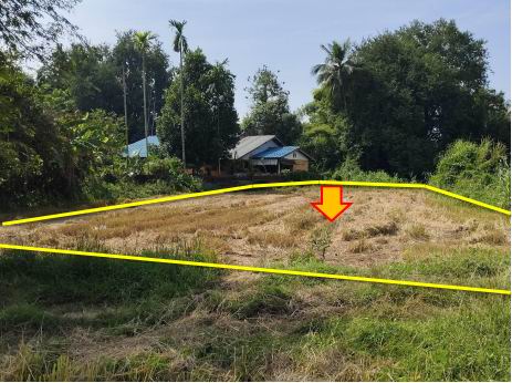 ขายทอดตลาด ที่ดินว่างเปล่า ต.วังโป่ง อ.วังโป่ง จ.เพชรบูรณ์