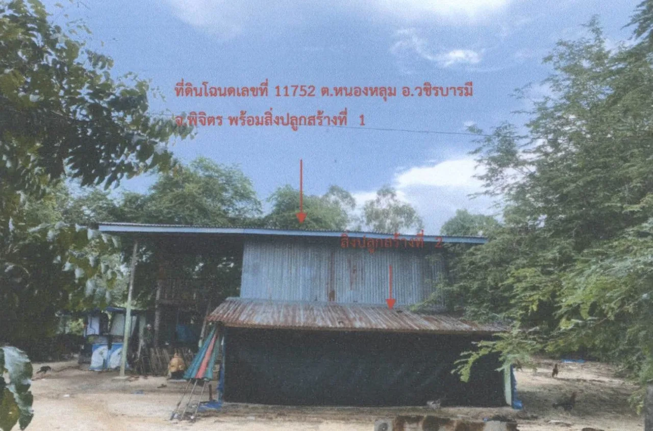 ขายทอดตลาด ที่ดินพร้อมสิ่งปลูกสร้าง ต.หนองหลุม อ.วชิรบารมี จ.พิจิตร