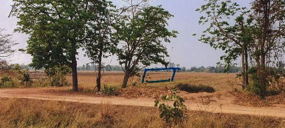 ขายทอดตลาด ที่ดินว่างเปล่า ต.บ้านกร่าง อ.เมืองพิษณุโลก จ.พิษณุโลก