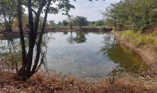 ขายทอดตลาด ที่ดินว่างเปล่า ต.เขาเจ็ดลูก อ.ทับคล้อ จ.พิจิตร