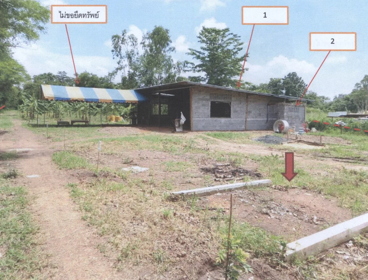 ขายทอดตลาด ที่ดินพร้อมสิ่งปลูกสร้าง ต.เขาทราย อ.ทับคล้อ จ.พิจิตร
