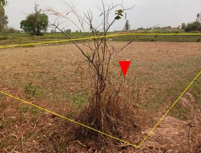 ขายทอดตลาด ที่ดินว่างเปล่า ต.กุดจิก อ.ท่าคันโท จ.กาฬสินธุ์