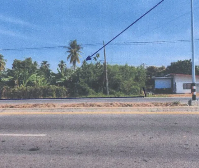 ขายทอดตลาด ที่ดินว่างเปล่า จ.พิจิตร