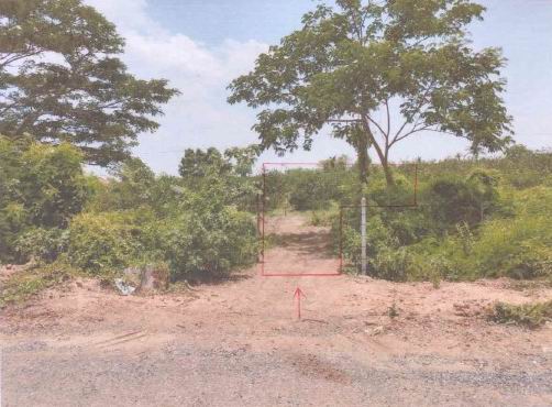 ขายทอดตลาด ที่ดินว่างเปล่า ต.เมืองเก่า อ.เมืองพิจิตร จ.พิจิตร