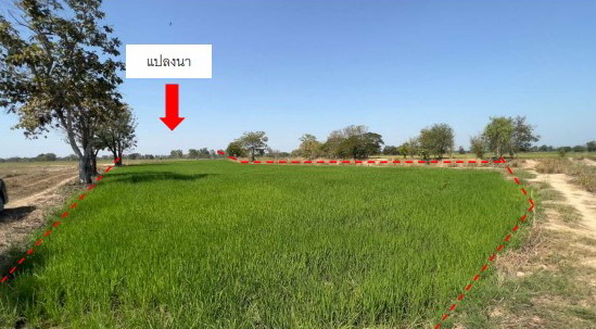 ขายทอดตลาด ที่ดินว่างเปล่า ต.บ้านนา อ.วชิรบารมี จ.พิจิตร