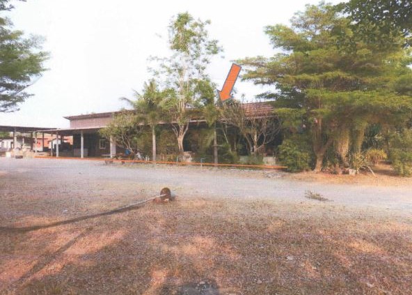 ขายทอดตลาด ที่ดินพร้อมสิ่งปลูกสร้าง ต.หนองซอน อ.เชียงยืน จ.มหาสารคาม