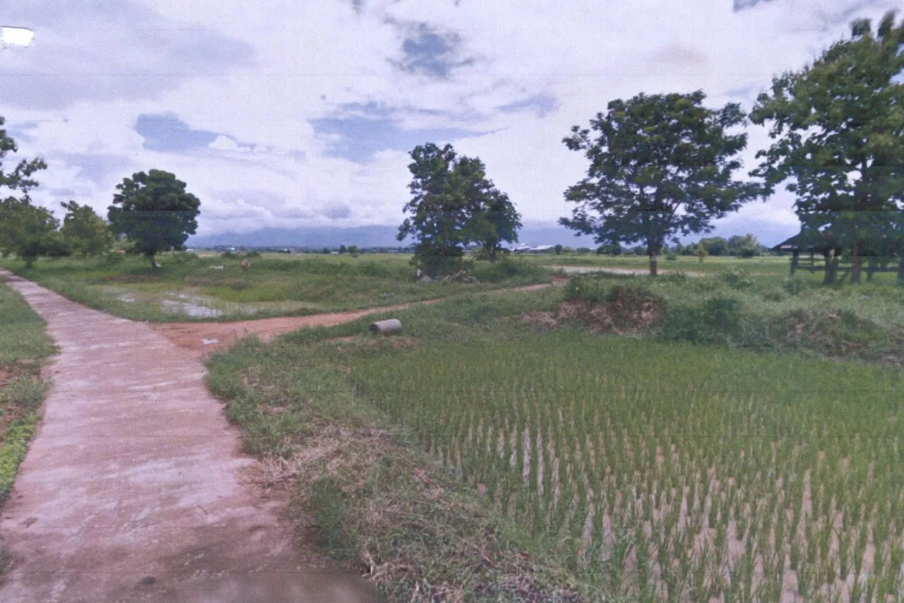 ขายทอดตลาด ที่ดินว่างเปล่า ต.นาพูน อ.วังชิ้น จ.แพร่
