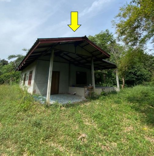 ขายทอดตลาด ที่ดินพร้อมสิ่งปลูกสร้าง ต.นาสีนวล อ.พยัคฆภูมิพิสัย จ.มหาสารคาม