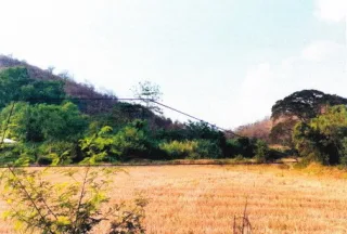 รูปทรัพย์ 1