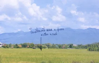 รูปทรัพย์ 1