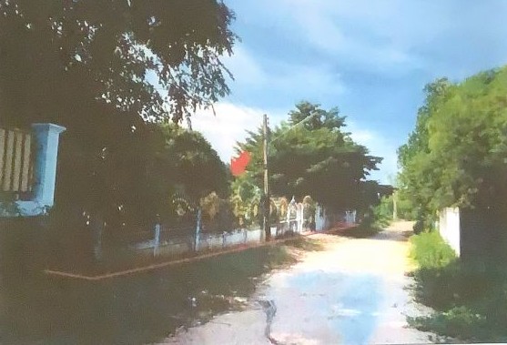 ขายทอดตลาด ที่ดินพร้อมสิ่งปลูกสร้าง ต.โนนแดง อ.บรบือ จ.มหาสารคาม