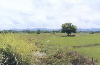 รูปทรัพย์ 2