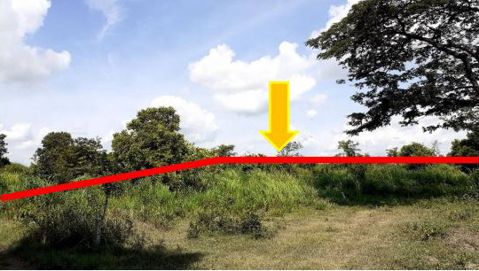 ขายทอดตลาด ที่ดินว่างเปล่า ต.หนองซอน อ.เชียงยืน จ.มหาสารคาม