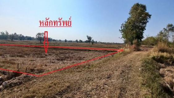 ขายทอดตลาด ที่ดินว่างเปล่า ต.โนนแดง อ.บรบือ จ.มหาสารคาม